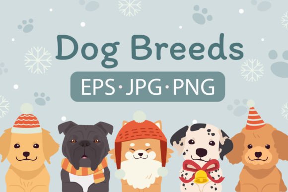 Dog Christmas Set 02: Festive Illustrations for Holiday Brands